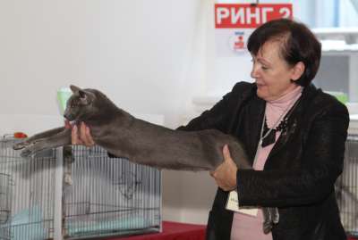 �������� ����� '������� ���-�����' 30 ������-1 ������� 2013., WCF-����� 2571